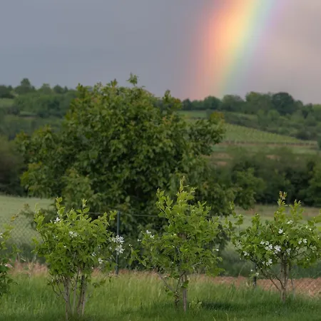 Vilă Hacienda R - Kuca Sa Bazenom Siokovac