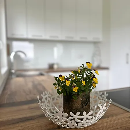 Hacienda R - Kuca Sa Bazenom